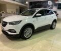 Опель Grandland X, объемом двигателя 0 л и пробегом 59 тыс. км за 19500 $, фото 9 на Automoto.ua