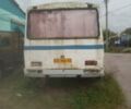 Белый ПАЗ 32051, объемом двигателя 4.3 л и пробегом 500 тыс. км за 1600 $, фото 6 на Automoto.ua