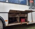Белый ПАЗ 32053, объемом двигателя 4.8 л и пробегом 1 тыс. км за 3950 $, фото 1 на Automoto.ua