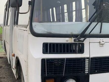 ПАЗ 32054 2004 в Самборе на Automoto.ua Белый ПАЗ 32054, объемом двигателя 0 л и пробегом 300 тыс. км за 1500 $, фото 1 на Automoto.ua
