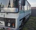 Білий ПАЗ 3302, об'ємом двигуна 4 л та пробігом 0 тис. км за 2900 $, фото 1 на Automoto.ua