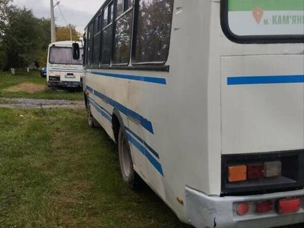 ПАЗ 4234 2006 у Каменце-Подольском на Automoto.ua Білий ПАЗ 4234, об'ємом двигуна 4.75 л та пробігом 300 тис. км за 4500 $, фото 1 на Automoto.ua