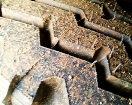 ПАЗ 4234, объемом двигателя 4.8 л и пробегом 0 тыс. км за 5000 $, фото 2 на Automoto.ua