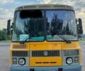 Желтый ПАЗ 4234, объемом двигателя 4.75 л и пробегом 250 тыс. км за 21000 $, фото 1 на Automoto.ua