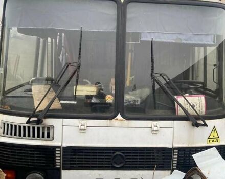 Белый ПАЗ ПАЗ, объемом двигателя 0 л и пробегом 30 тыс. км за 3000 $, фото 2 на Automoto.ua