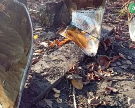 ПЛН 2-25, об'ємом двигуна 0 л та пробігом 0 тис. км за 308 $, фото 5 на Automoto.ua