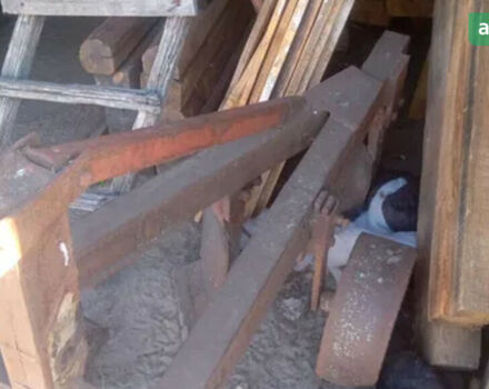 ПЛН 3-20, об'ємом двигуна 0 л та пробігом 0 тис. км за 167 $, фото 2 на Automoto.ua