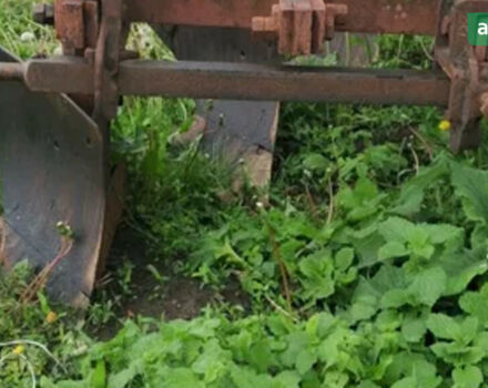 ПЛН 3-35, объемом двигателя 0 л и пробегом 0 тыс. км за 800 $, фото 1 на Automoto.ua