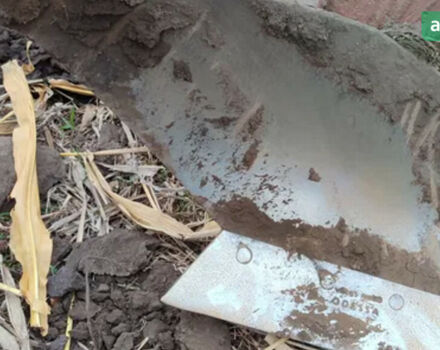 ПЛН 3-35, объемом двигателя 0 л и пробегом 0 тыс. км за 650 $, фото 3 на Automoto.ua