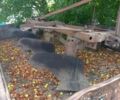Красный ПЛН 4-35, объемом двигателя 0 л и пробегом 0 тыс. км за 607 $, фото 1 на Automoto.ua
