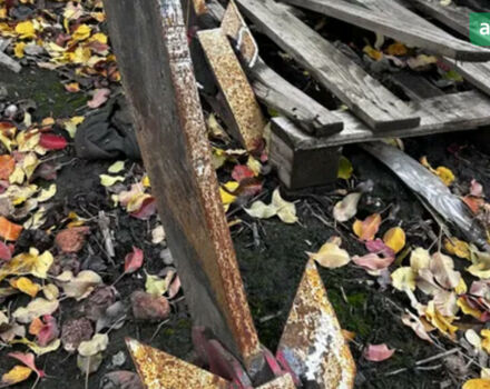 ПЛН 4-35, объемом двигателя 0 л и пробегом 0 тыс. км за 988 $, фото 10 на Automoto.ua