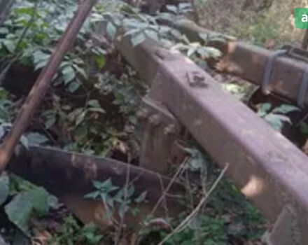 ПЛН 5-35, объемом двигателя 0 л и пробегом 0 тыс. км за 728 $, фото 2 на Automoto.ua