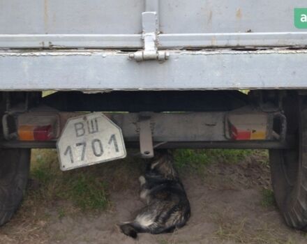 ПТС 1ПТС 2, объемом двигателя 0 л и пробегом 0 тыс. км за 1500 $, фото 5 на Automoto.ua