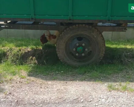 ПТС 1ПТС 2, объемом двигателя 0 л и пробегом 0 тыс. км за 1301 $, фото 1 на Automoto.ua