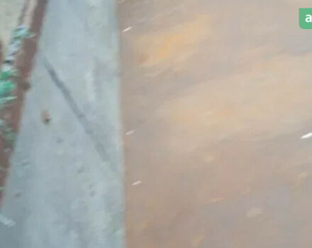 ПТС 1ПТС 2, объемом двигателя 0 л и пробегом 0 тыс. км за 1100 $, фото 5 на Automoto.ua