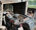 Панония 3302, объемом двигателя 2.3 л и пробегом 0 тыс. км за 364 $, фото 1 на Automoto.ua