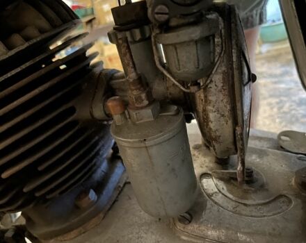 Панония Другая, объемом двигателя 0.25 л и пробегом 0 тыс. км за 550 $, фото 5 на Automoto.ua