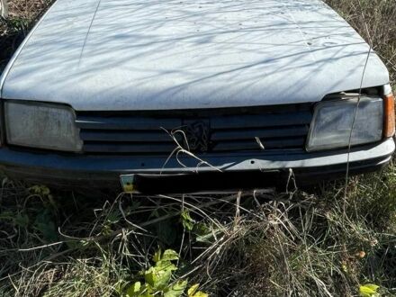 Пежо 106 1987 в Киеве на Automoto.ua Белый Пежо 106, объемом двигателя 0 л и пробегом 380 тыс. км за 250 $, фото 1 на Automoto.ua