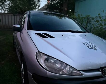 Сірий Пежо 206, об'ємом двигуна 0 л та пробігом 180 тис. км за 3650 $, фото 1 на Automoto.ua