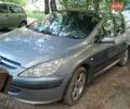 Серый Пежо 307, объемом двигателя 2 л и пробегом 260 тыс. км за 3500 $, фото 9 на Automoto.ua