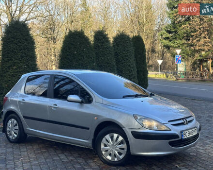 Сірий Пежо 307, об'ємом двигуна 1.4 л та пробігом 380 тис. км за 2999 $, фото 34 на Automoto.ua