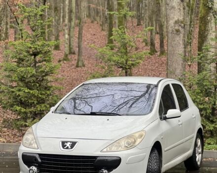 Сірий Пежо 307, об'ємом двигуна 2 л та пробігом 275 тис. км за 3500 $, фото 15 на Automoto.ua