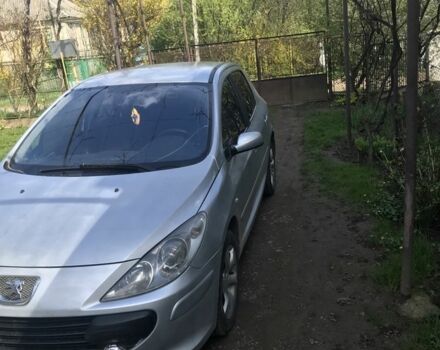 Сірий Пежо 307, об'ємом двигуна 2 л та пробігом 246 тис. км за 3300 $, фото 14 на Automoto.ua