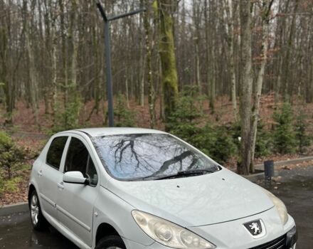 Сірий Пежо 307, об'ємом двигуна 2 л та пробігом 275 тис. км за 3500 $, фото 14 на Automoto.ua