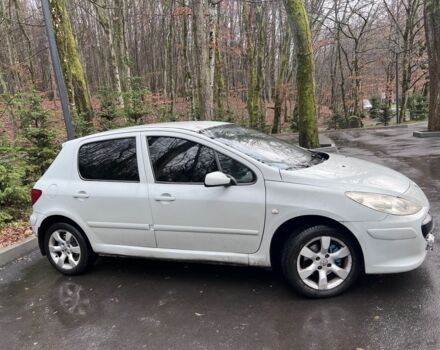 Сірий Пежо 307, об'ємом двигуна 2 л та пробігом 275 тис. км за 3500 $, фото 2 на Automoto.ua