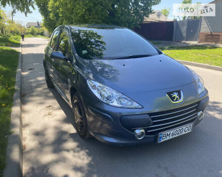 Сірий Пежо 307, об'ємом двигуна 1.6 л та пробігом 260 тис. км за 4700 $, фото 14 на Automoto.ua