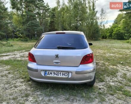 Серый Пежо 307, объемом двигателя 2 л и пробегом 185 тыс. км за 4400 $, фото 13 на Automoto.ua