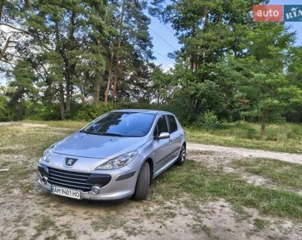 Серый Пежо 307, объемом двигателя 2 л и пробегом 185 тыс. км за 4400 $, фото 8 на Automoto.ua