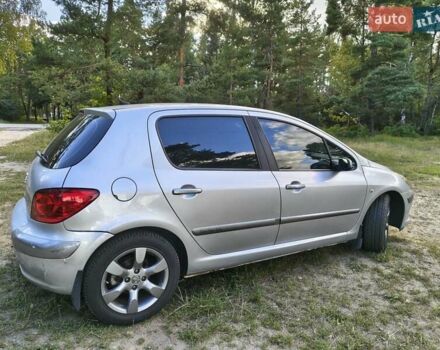 Серый Пежо 307, объемом двигателя 2 л и пробегом 185 тыс. км за 4400 $, фото 15 на Automoto.ua