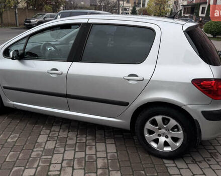 Сірий Пежо 307, об'ємом двигуна 1.6 л та пробігом 219 тис. км за 4100 $, фото 10 на Automoto.ua