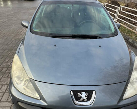 Серый Пежо 307, объемом двигателя 1.6 л и пробегом 242 тыс. км за 4800 $, фото 20 на Automoto.ua