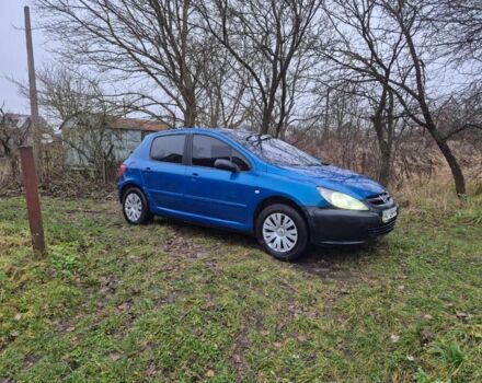 Синий Пежо 307, объемом двигателя 1.4 л и пробегом 286 тыс. км за 1950 $, фото 2 на Automoto.ua