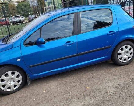Синий Пежо 307, объемом двигателя 1.6 л и пробегом 141 тыс. км за 4500 $, фото 7 на Automoto.ua