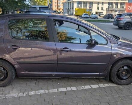 Пежо 307 2004 в Ивано-Франковске на Automoto.ua Синий Пежо 307, объемом двигателя 1.59 л и пробегом 246 тыс. км за 2800 $, фото 8 на Automoto.ua