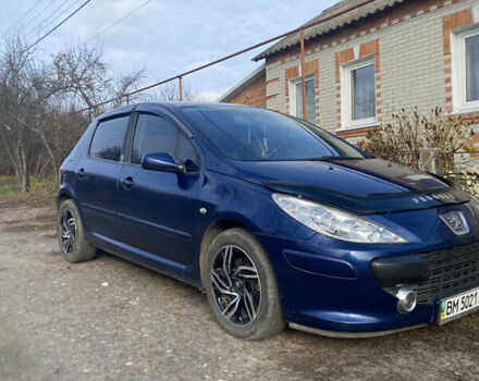 Синий Пежо 307, объемом двигателя 2 л и пробегом 231 тыс. км за 5300 $, фото 1 на Automoto.ua