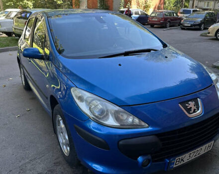 Синий Пежо 307, объемом двигателя 1.59 л и пробегом 199 тыс. км за 4800 $, фото 1 на Automoto.ua
