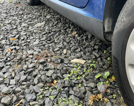 Синий Пежо 307, объемом двигателя 1.6 л и пробегом 299 тыс. км за 2500 $, фото 9 на Automoto.ua