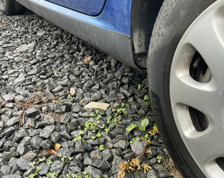 Синий Пежо 307, объемом двигателя 1.6 л и пробегом 299 тыс. км за 2500 $, фото 10 на Automoto.ua