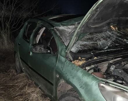 Зеленый Пежо 307, объемом двигателя 1.6 л и пробегом 340 тыс. км за 1200 $, фото 1 на Automoto.ua