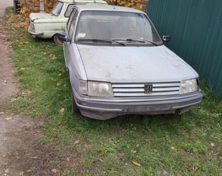 Сірий Пежо 309, об'ємом двигуна 0 л та пробігом 1000 тис. км за 456 $, фото 1 на Automoto.ua