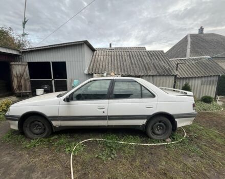 Белый Пежо 405, объемом двигателя 1.9 л и пробегом 250 тыс. км за 500 $, фото 2 на Automoto.ua