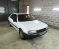 Білий Пежо 405, об'ємом двигуна 0 л та пробігом 255 тис. км за 729 $, фото 1 на Automoto.ua