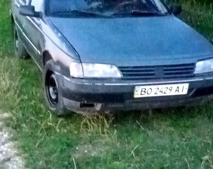 Пежо 405, объемом двигателя 1.6 л и пробегом 200 тыс. км за 600 $, фото 1 на Automoto.ua