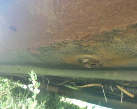 Зелений Пежо 406, об'ємом двигуна 0 л та пробігом 300 тис. км за 500 $, фото 2 на Automoto.ua