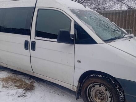 Белый Пежо 504, объемом двигателя 2 л и пробегом 500 тыс. км за 3000 $, фото 1 на Automoto.ua