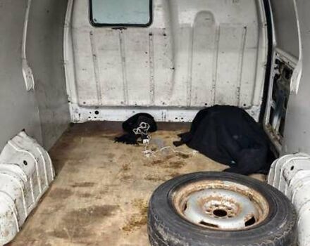 Белый Пежо Эксперт груз.-пасс., объемом двигателя 2 л и пробегом 425 тыс. км за 3200 $, фото 12 на Automoto.ua